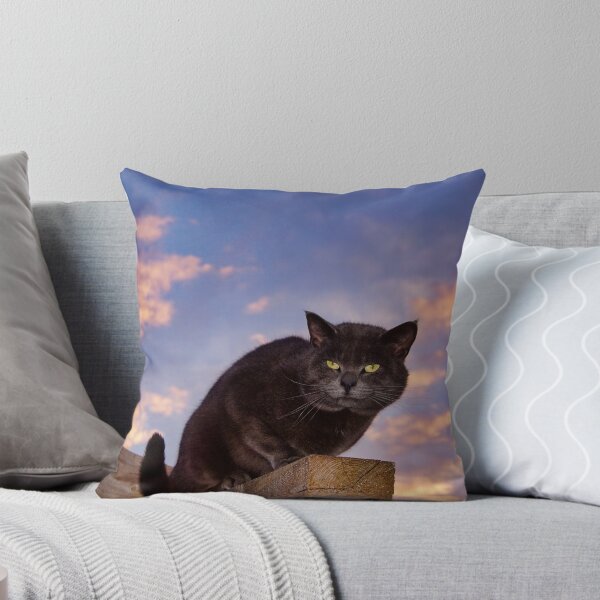 Item preview, Mozart of the Morning designed and sold by colorfulbundles.