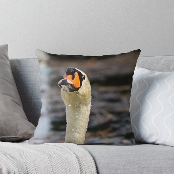 Artikelvorschau, Warum guckst du? entworfen und verkauft von GreyFeatherPhot.