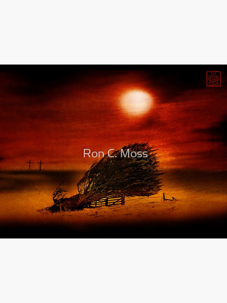 Two Crosses by ronmoss