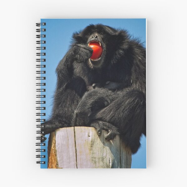 Item preview, Animal Portrait - Siamang (2) designed and sold by Wolf Sverak Photography.