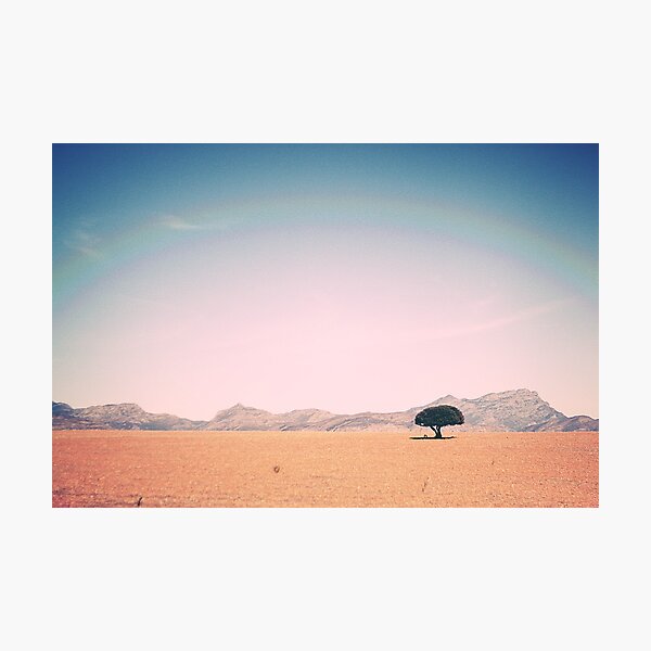Aperçu de l'œuvre lone tree créée et vendue par Jack Toohey.