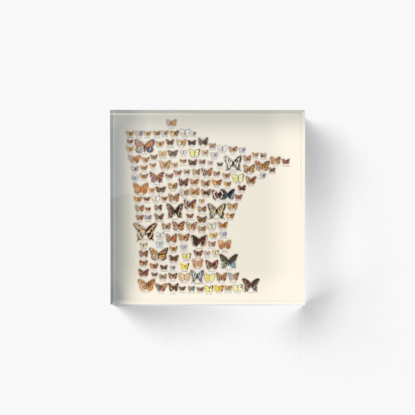Minnesota Butterflies Acrylic Block