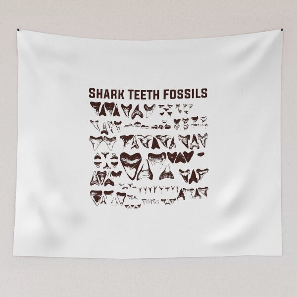 Item preview, Fossil product   Shark Tooth product    Gift for Scientist   design designed and sold by stuch75.