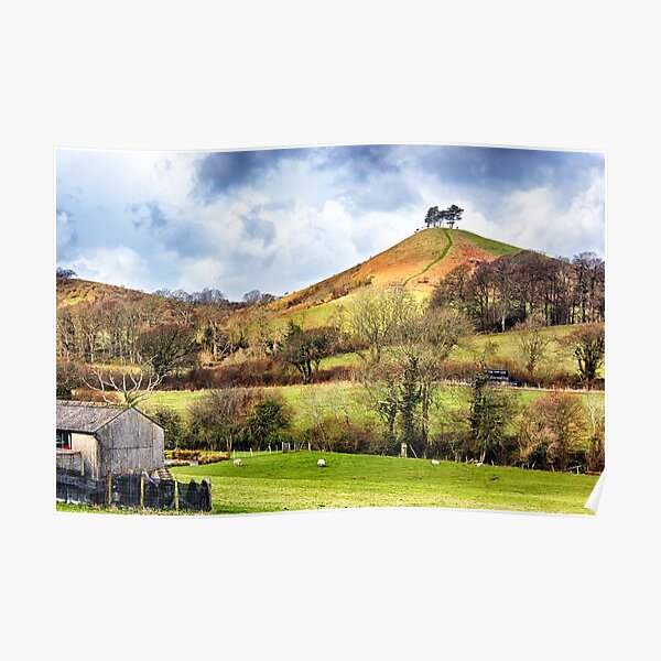 Colmers Hill Landscape Poster