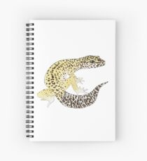Cuaderno de espiral Lexard