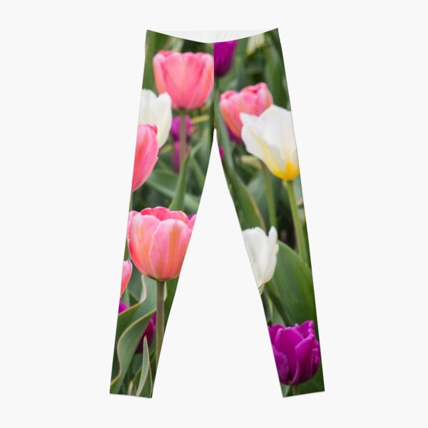 Pastel Field Leggings