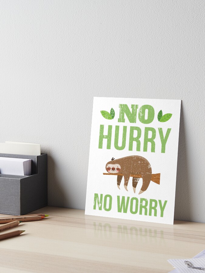 No Hurry No Worries Sloth T-Shirt Funny Lazy Sleepy Gifts