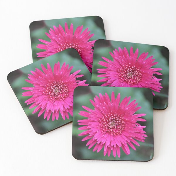 Item preview, Bright Pink Gerbera on Dark Green designed and sold by STHogan2.