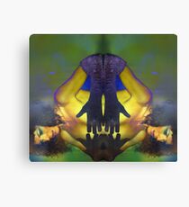 ::MIRROR MIRROR:: Canvas Print