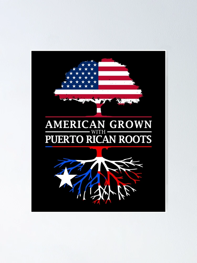 Puerto Rico and America Flag Combo Distressed Design Poster for