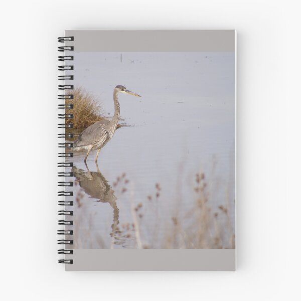 Item preview, Blue Heron designed and sold by Kirstyshots.