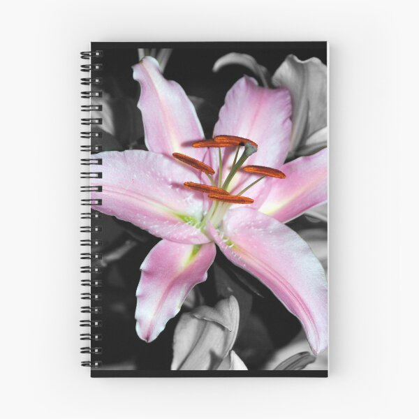 Item preview, Being selective! designed and sold by Sheila Laurens.