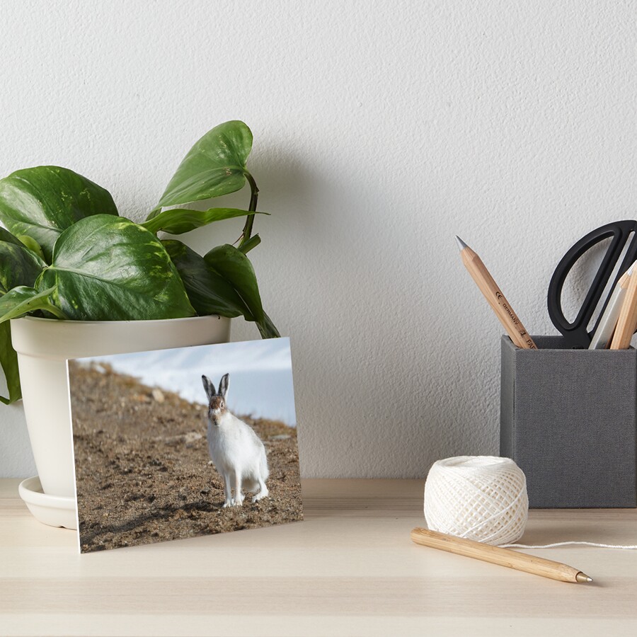 Item preview, Art Board Print designed and sold by chanonry.