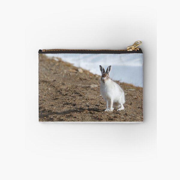 Item preview, Spring hare designed and sold by chanonry.