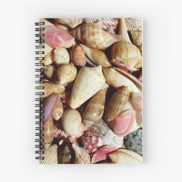 Item preview, Southwest Florida Seashells designed and sold by Susan Wallace.