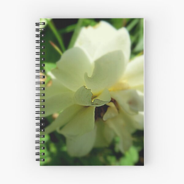 Item preview, Rose Petal designed and sold by Diane Arndt.