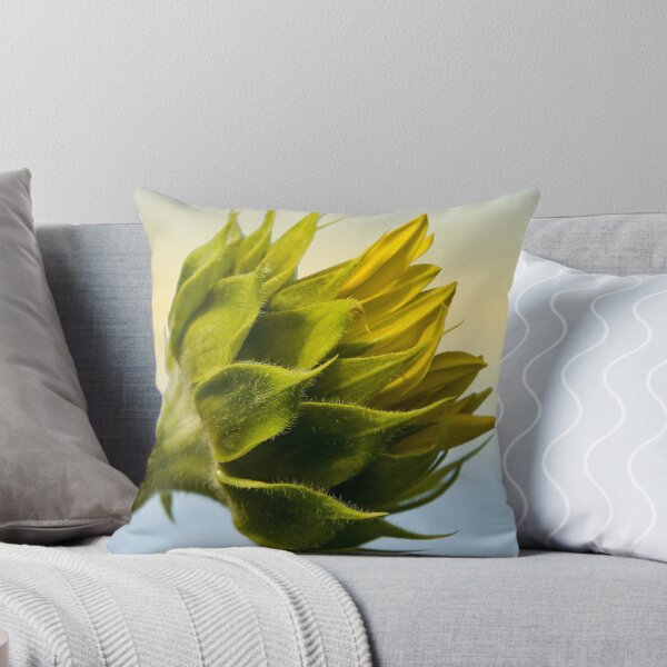 Item preview, Medio camino designed and sold by barkeypf.