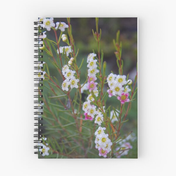Item preview, Tea Tree, Leptospermum designed and sold by lezvee.