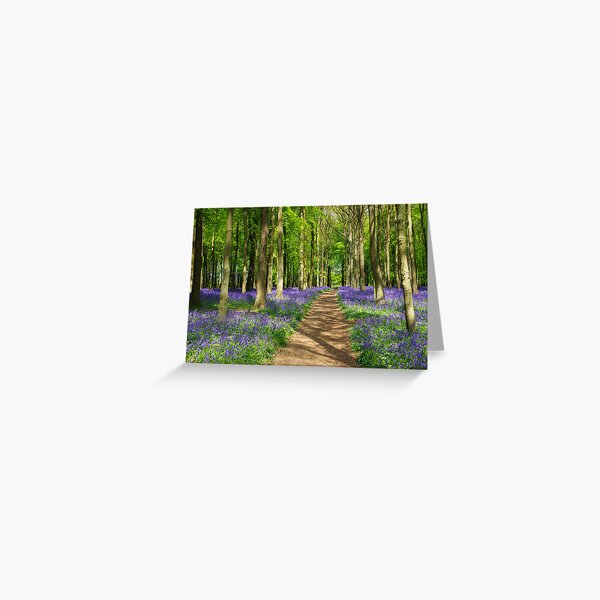 Bluebell woods Greeting Card