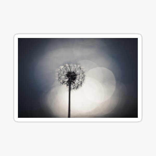Item preview, Dandelion designed and sold by jrenner.