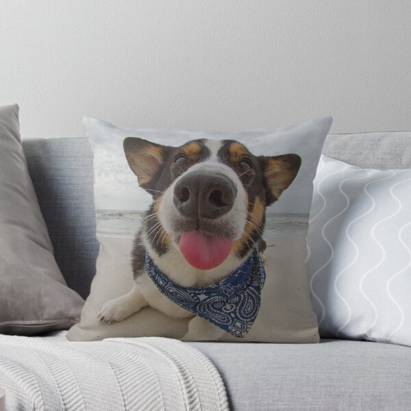Item preview, Salty Dog designed and sold by WorldDesign.