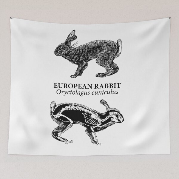 Item preview, European rabbit designed and sold by xVelozeex.