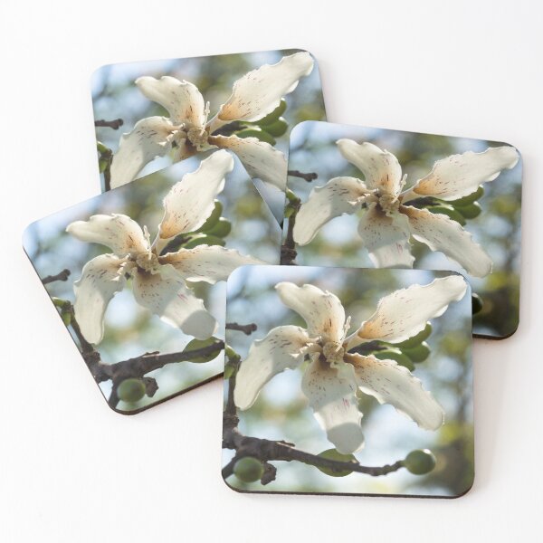 Item preview, Exotic Flower - Blooming Silk Floss Tree Ceiba Speciosa  designed and sold by Georgia Mizuleva.
