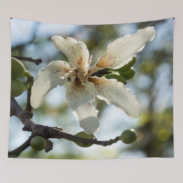 Item preview, Exotic Flower - Blooming Silk Floss Tree Ceiba Speciosa  designed and sold by Georgia Mizuleva.