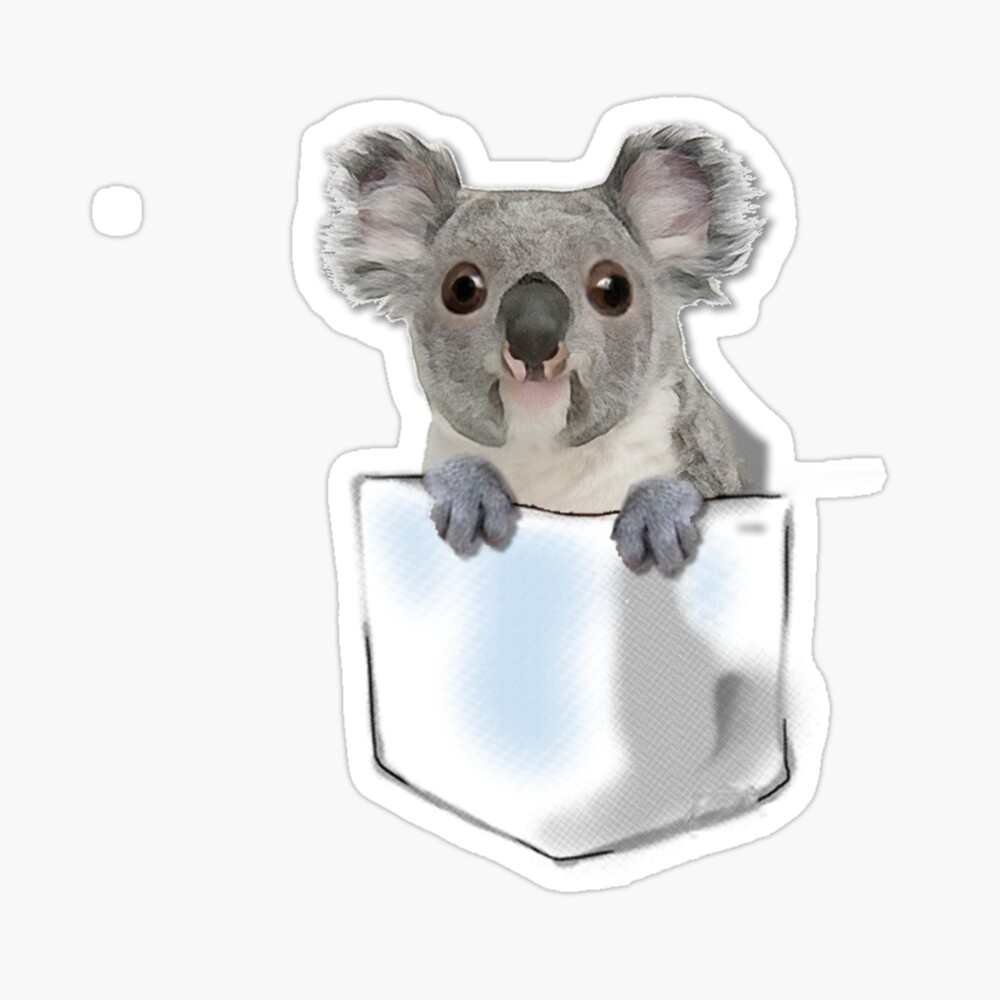 Cahier A Spirale Insigne De Bebe Koala Dans La Poche Par Nthdesign Redbubble