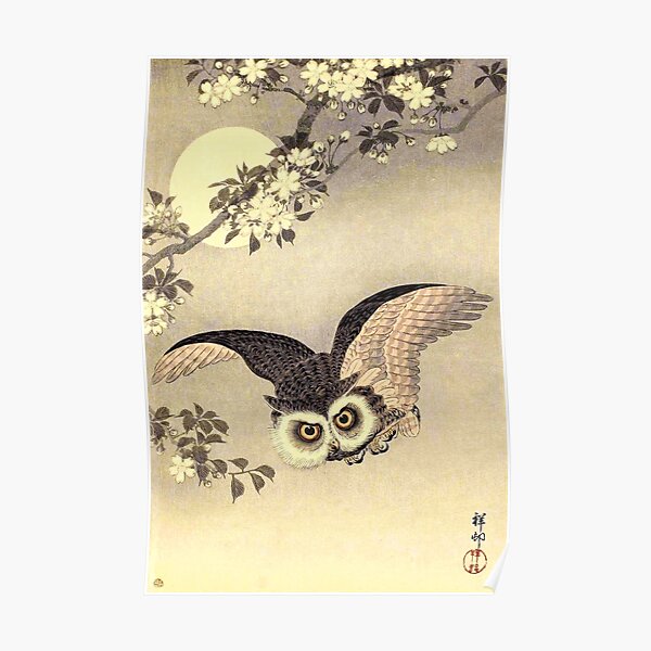 Koson Ohara - Hibou des Scops en vol, fleurs de cerisier et pleine lune Poster
