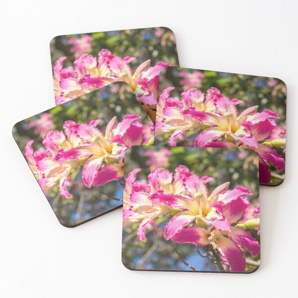 Item preview, Vivid Exotic Flowers - Blooming Silk Floss Tree Ceiba Speciosa  designed and sold by Georgia Mizuleva.