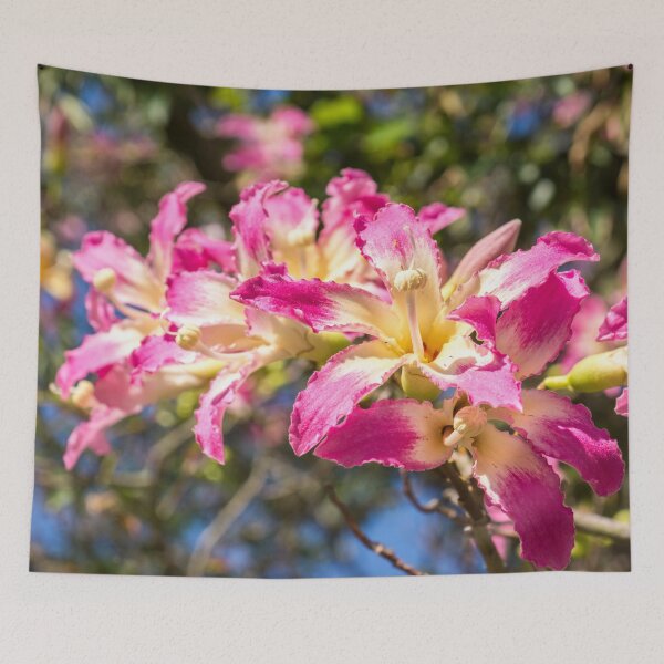 Item preview, Vivid Exotic Flowers - Blooming Silk Floss Tree Ceiba Speciosa  designed and sold by Georgia Mizuleva.