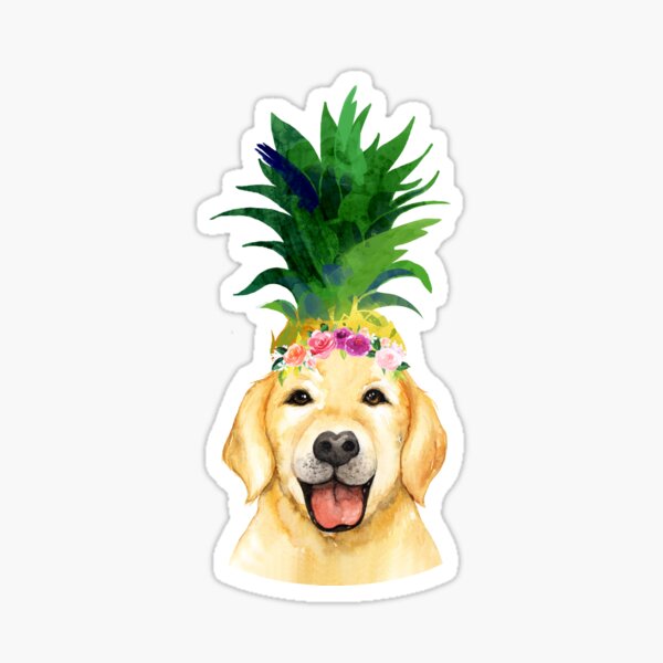 "Pineapple Flower Crown cute golden retriever labrador smiling Dog