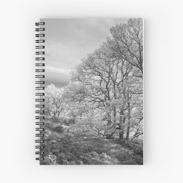 Item preview, Above Rydal #2 designed and sold by ccullen222.