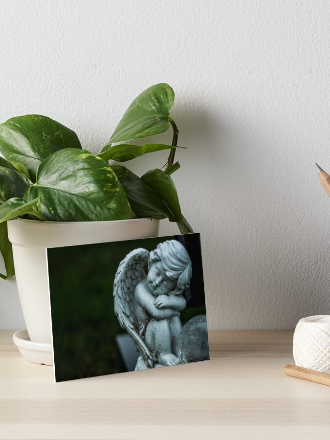 chairs for little cherubs