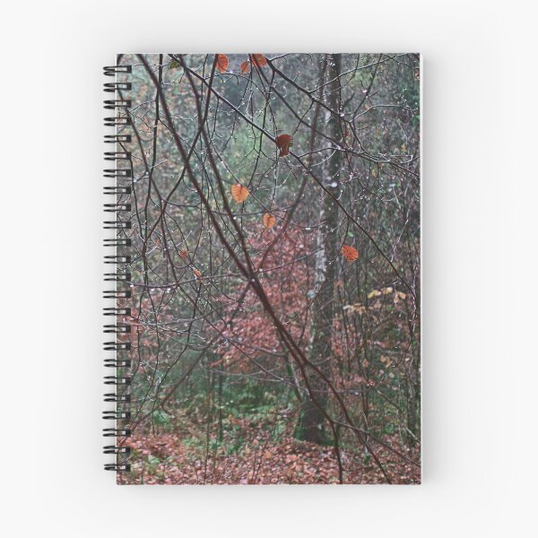 Item preview, Lines in the Woods designed and sold by ShinyPhoto.