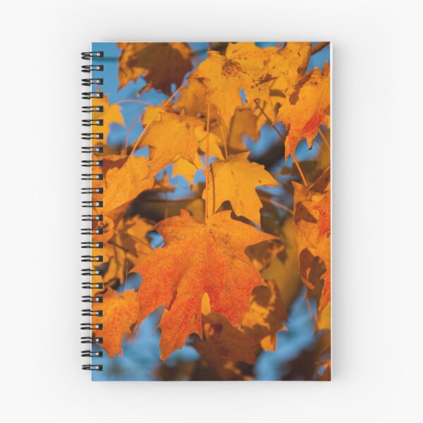 Item preview, USA. Pennsylvania. Longwood Gardens. Maple leaves. designed and sold by vadim19.