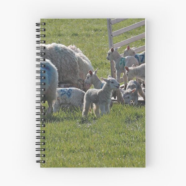 Item preview, Lambs out to Pasture designed and sold by BryanDevon.
