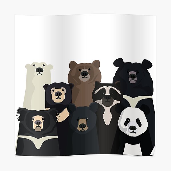 Bears of the world Poster