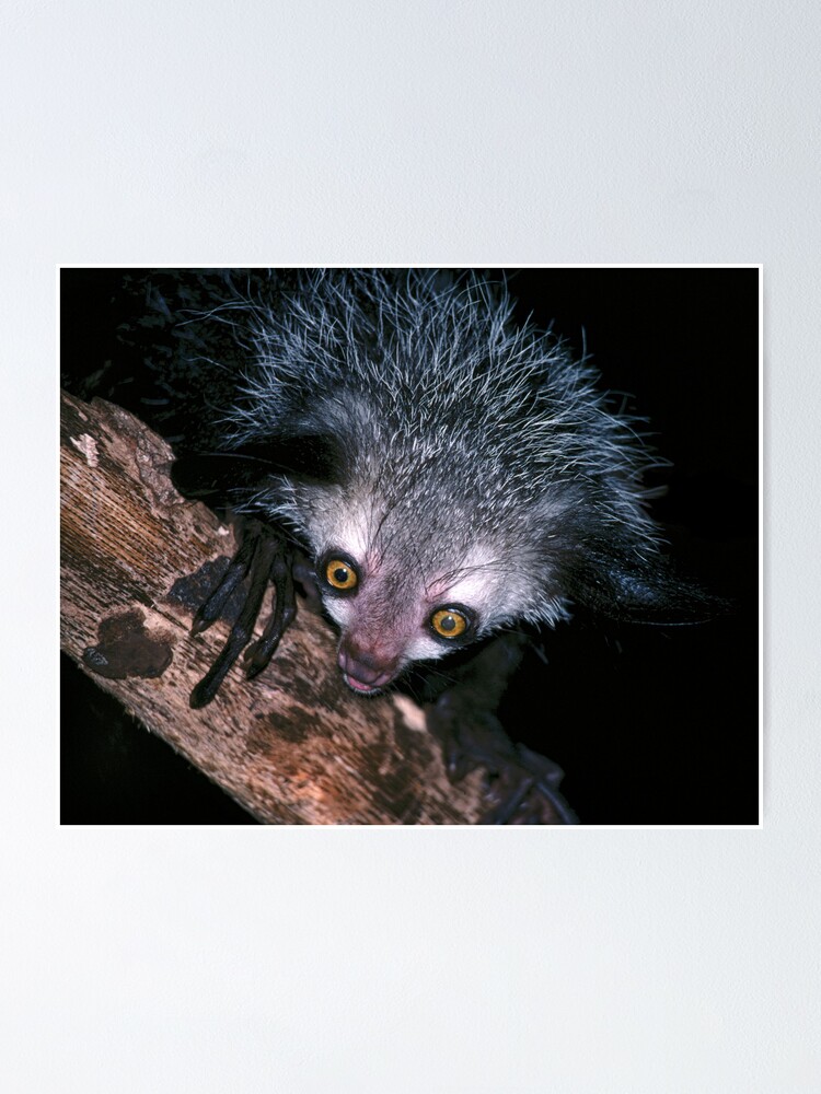 Alternate view of The face that launched a thousand superstitions Poster
