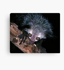 The face that launched a thousand superstitions Canvas Print