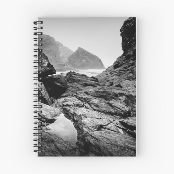 Aperçu de l'œuvre wild coast créée et vendue par Dorit Fuhg.