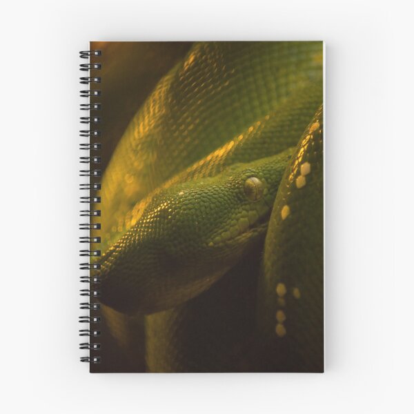 Item preview, The green tree python designed and sold by Claes  Touber.