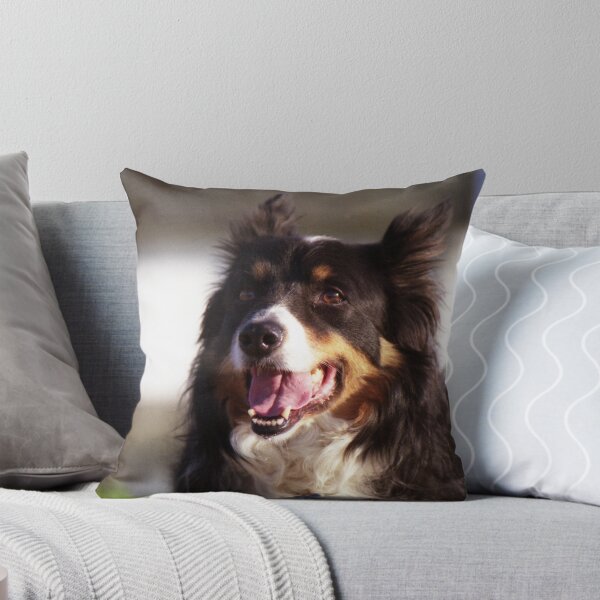 Item preview, Ringo designed and sold by Michael Haslam.