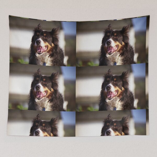 Item preview, Ringo designed and sold by Michael Haslam.