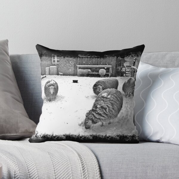 Throw Pillow
