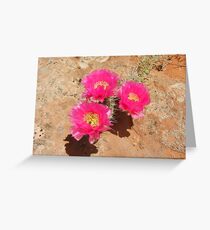 Escalante Cactus Greeting Card
