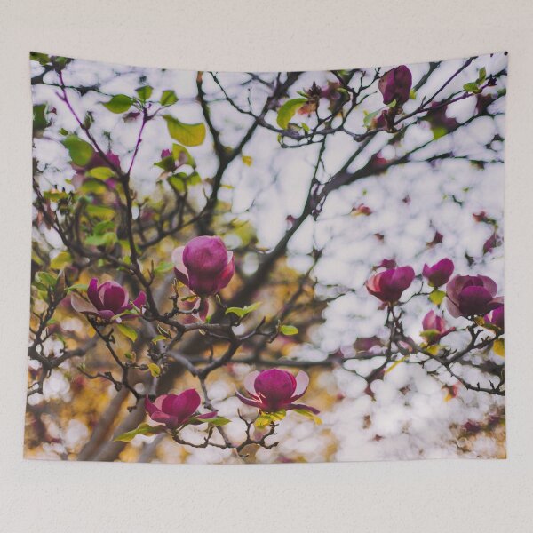 Item preview, D Lawson Photography - Saucer Magnolias designed and sold by Danielle Lawson.