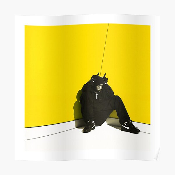 boy in da corner Poster