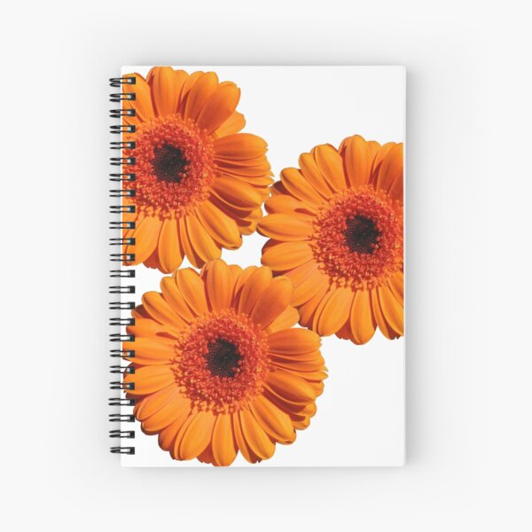 Spiral Notebook